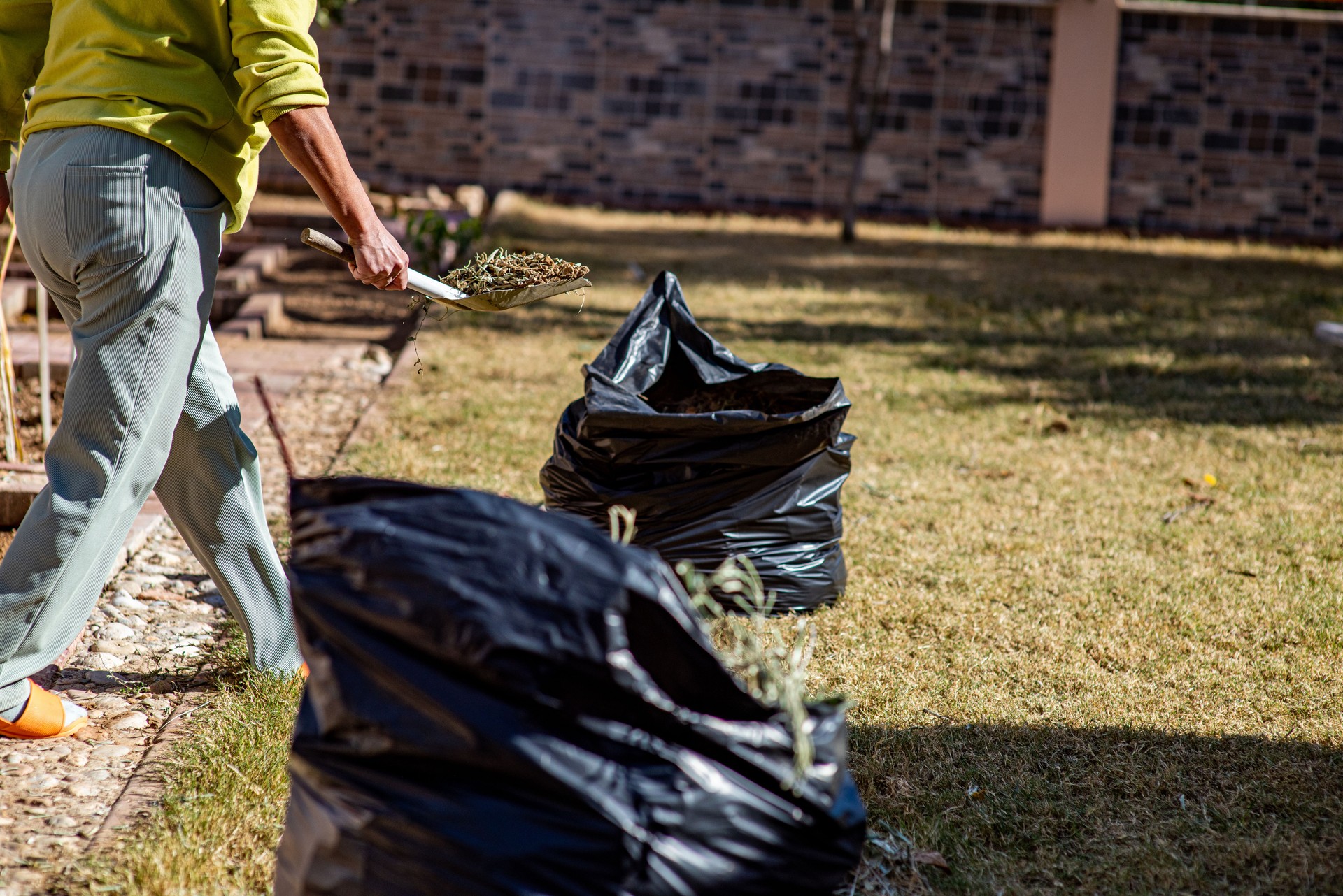 Woman collecting leaves from her backyard into a garbage bag