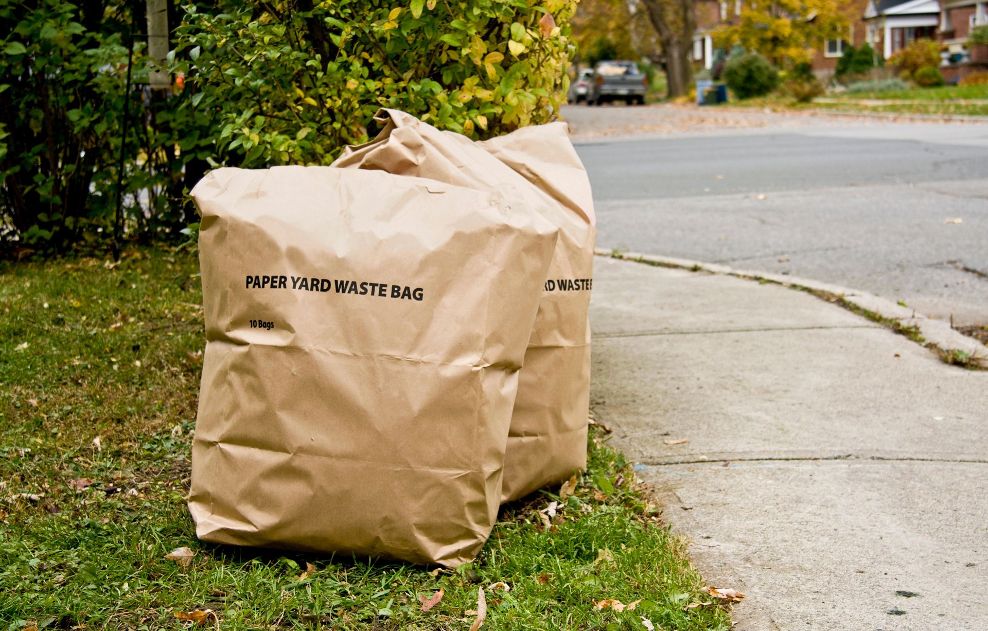 Paper bags of yard waste beside street