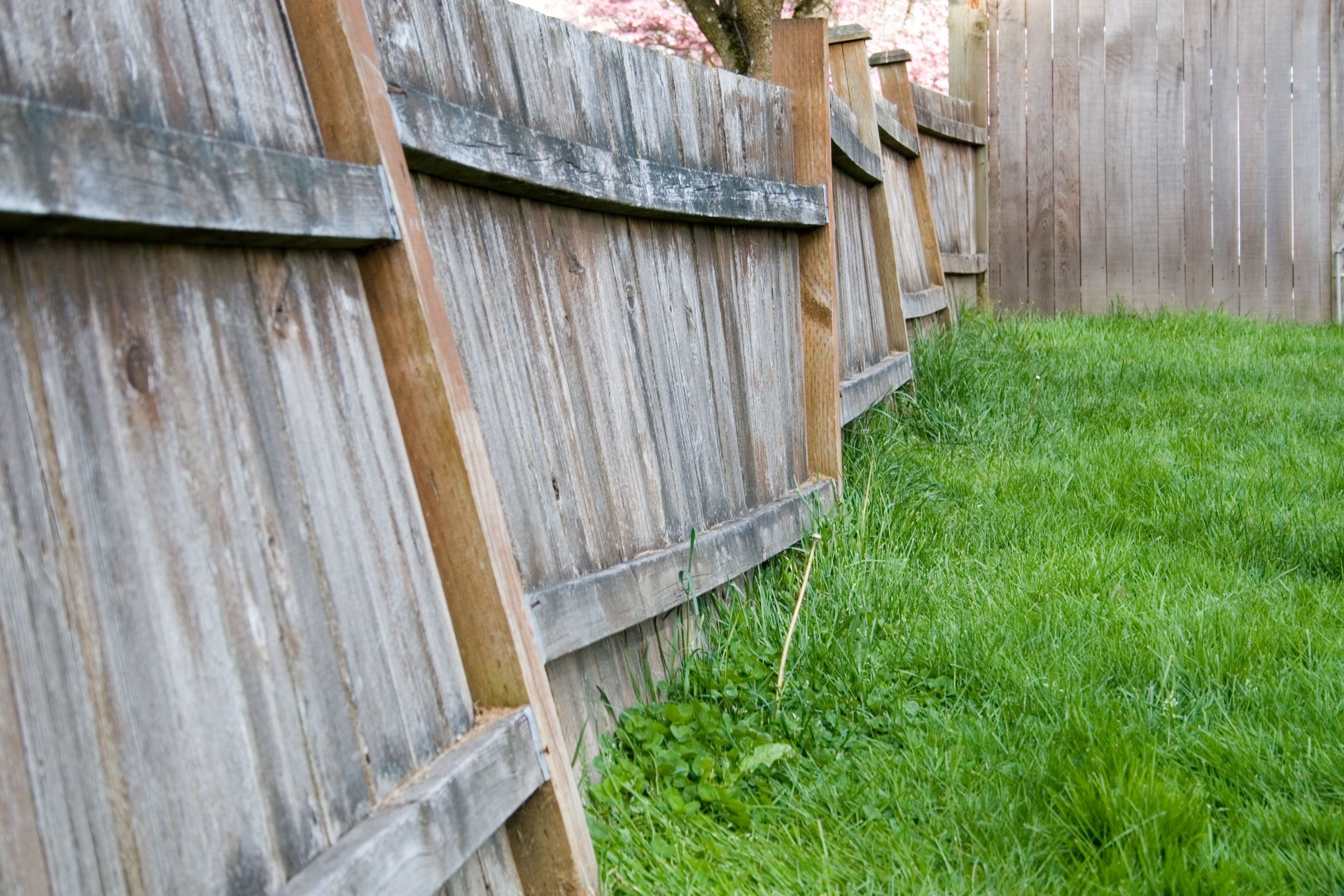 Old rotting fence...