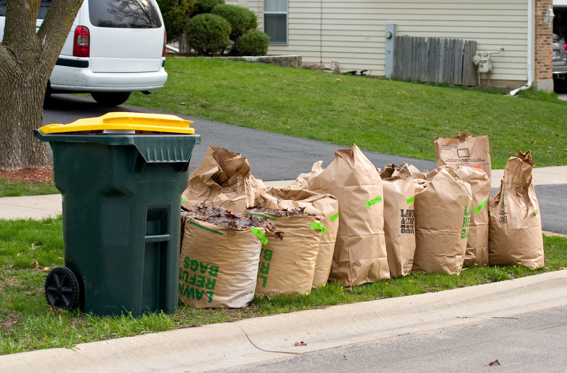 yard waste bags three